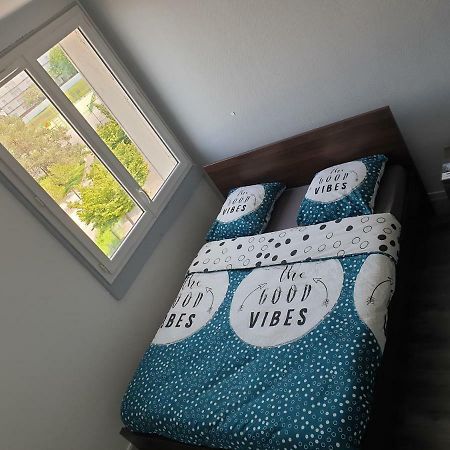 Appartement Des Bigarelles A ブールジュ エクステリア 写真
